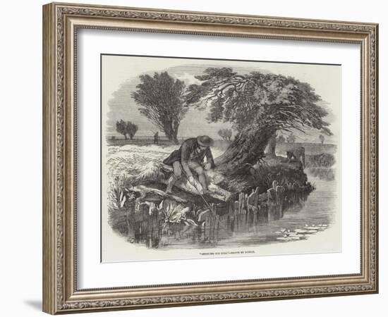 Sniggling for Eels-null-Framed Giclee Print