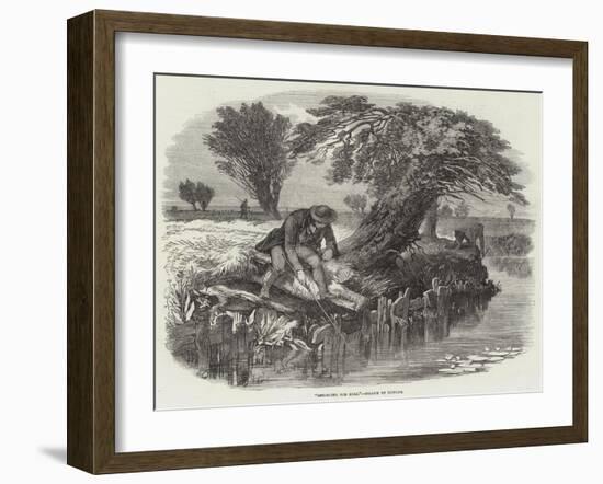 Sniggling for Eels-null-Framed Giclee Print