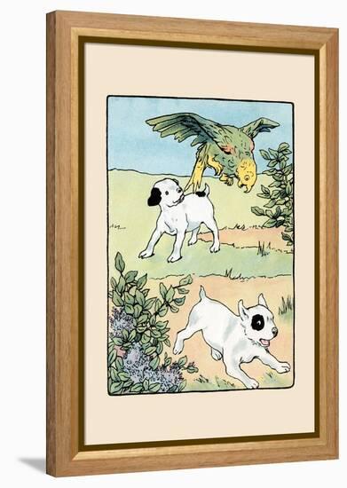 Snip And Snap And Polly Play-Julia Dyar Hardy-Framed Stretched Canvas