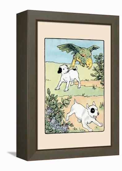 Snip And Snap And Polly Play-Julia Dyar Hardy-Framed Stretched Canvas