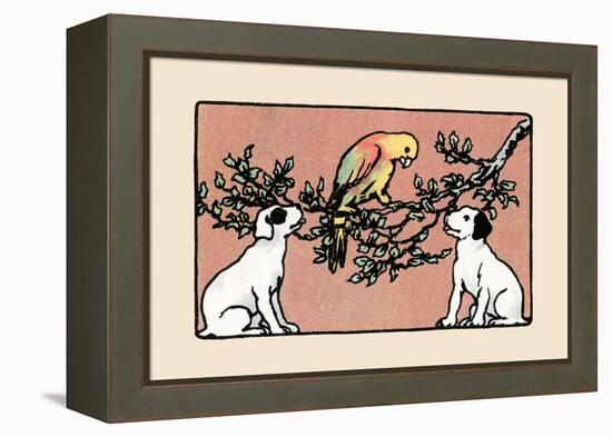 Snip And Snap And the Poll Parrot-Julia Dyar Hardy-Framed Stretched Canvas