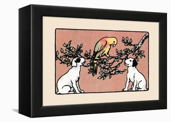 Snip And Snap And the Poll Parrot-Julia Dyar Hardy-Framed Stretched Canvas