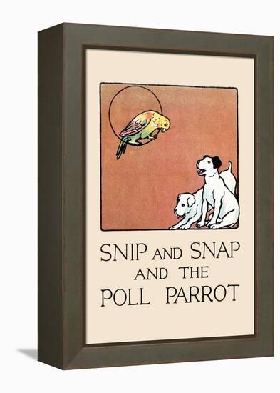 Snip And Snap And the Poll Parrot-Julia Dyar Hardy-Framed Stretched Canvas