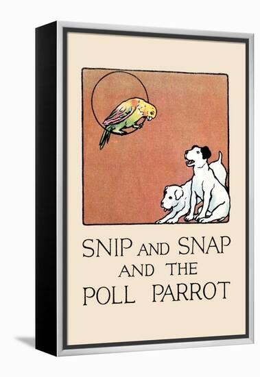 Snip And Snap And the Poll Parrot-Julia Dyar Hardy-Framed Stretched Canvas