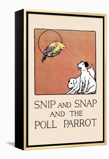 Snip And Snap And the Poll Parrot-Julia Dyar Hardy-Framed Stretched Canvas