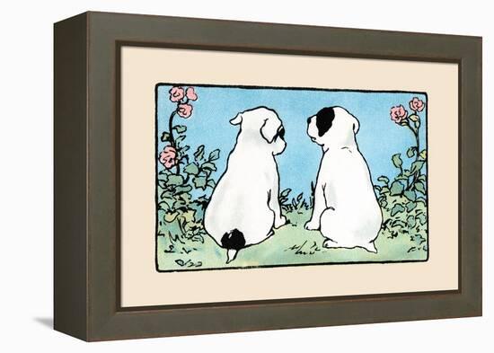 Snip And Snap Look Away-Julia Dyar Hardy-Framed Stretched Canvas