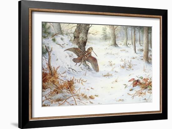 Snipe in Wooded Landscape-Carl Donner-Framed Giclee Print