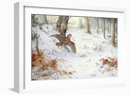 Snipe in Wooded Landscape-Carl Donner-Framed Giclee Print