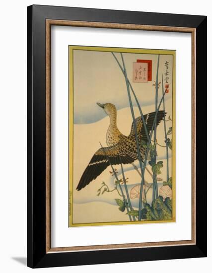 Snipe, Smooth Cane and Morning Glory-Sugakudo-Framed Art Print