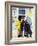 Sno-Cone Stand-Carol Highsmith-Framed Photo