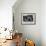 Snooker Player Prepares to Play a Shot as His Partner Looks On-null-Framed Photographic Print displayed on a wall