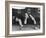 Snooker Player Prepares to Play a Shot as His Partner Looks On-null-Framed Photographic Print