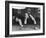 Snooker Player Prepares to Play a Shot as His Partner Looks On-null-Framed Photographic Print