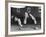 Snooker Player Prepares to Play a Shot as His Partner Looks On-null-Framed Photographic Print