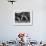 Snooker Player Prepares to Play a Shot as His Partner Looks On-null-Framed Photographic Print displayed on a wall