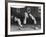 Snooker Player Prepares to Play a Shot as His Partner Looks On-null-Framed Photographic Print