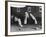 Snooker Player Prepares to Play a Shot as His Partner Looks On-null-Framed Photographic Print