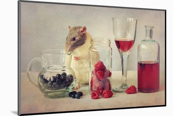 Snoozy Loves to Eat-Ellen Van Deelen-Mounted Photographic Print