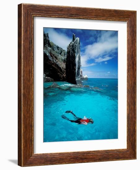 Snorkeler, Isla Tortuga, Galapagos Islands, Ecuador-Jack Stein Grove-Framed Photographic Print