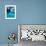 Snorkeler, Isla Tortuga, Galapagos Islands, Ecuador-Jack Stein Grove-Framed Photographic Print displayed on a wall