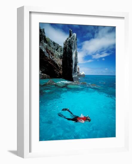 Snorkeler, Isla Tortuga, Galapagos Islands, Ecuador-Jack Stein Grove-Framed Photographic Print