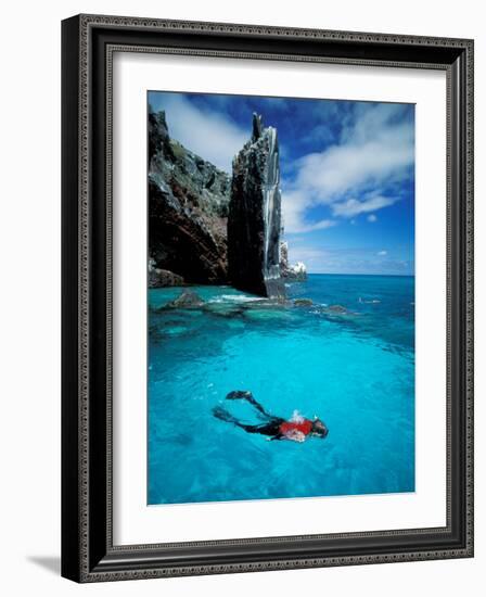 Snorkeler, Isla Tortuga, Galapagos Islands, Ecuador-Jack Stein Grove-Framed Photographic Print