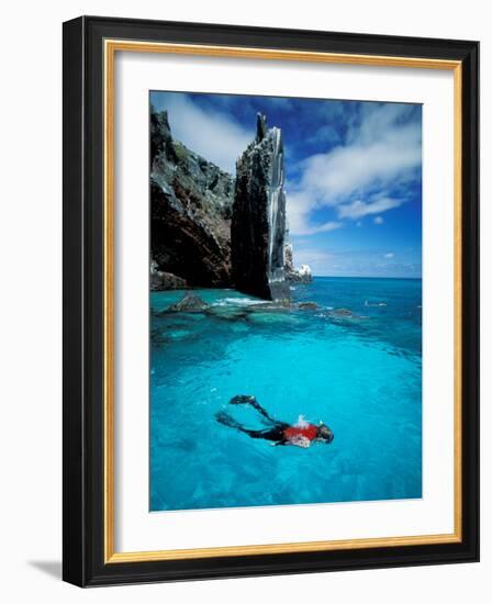 Snorkeler, Isla Tortuga, Galapagos Islands, Ecuador-Jack Stein Grove-Framed Photographic Print