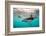 Snorkeler with a Dusky Dolphin Off of Kaikoura, New Zealand-James White-Framed Photographic Print