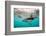 Snorkeler with a Dusky Dolphin Off of Kaikoura, New Zealand-James White-Framed Photographic Print