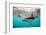 Snorkeler with a Dusky Dolphin Off of Kaikoura, New Zealand-James White-Framed Photographic Print