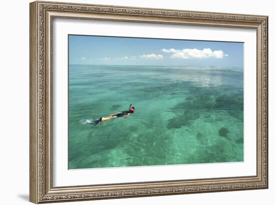 Snorkeler-Robert Goldwitz-Framed Photographic Print