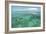 Snorkeler-Robert Goldwitz-Framed Photographic Print