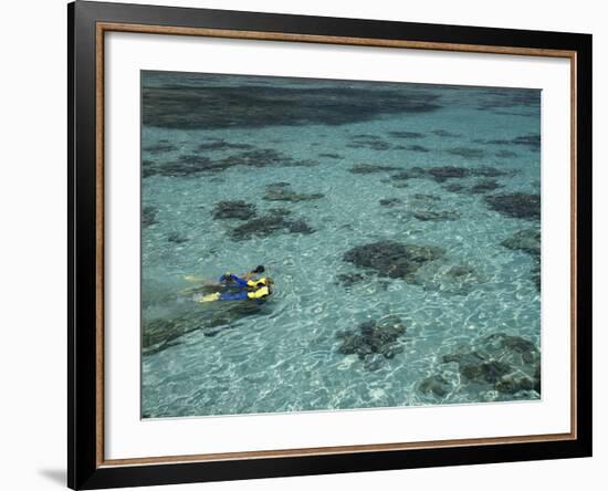 Snorkelers and Reef, Green Island, Great Barrier Reef Marine Park, North Queensland, Australia-David Wall-Framed Photographic Print