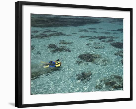 Snorkelers and Reef, Green Island, Great Barrier Reef Marine Park, North Queensland, Australia-David Wall-Framed Photographic Print