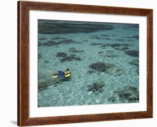 Snorkelers and Reef, Green Island, Great Barrier Reef Marine Park, North Queensland, Australia-David Wall-Framed Photographic Print