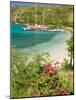 Snorkelers in Idyllic Pirates Bight Cove, Bight, British Virgin Islands-Trish Drury-Mounted Photographic Print