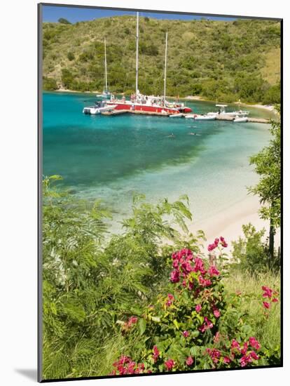 Snorkelers in Idyllic Pirates Bight Cove, Bight, British Virgin Islands-Trish Drury-Mounted Photographic Print