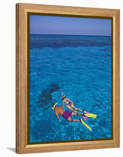 Snorkeling in Clear Waters, Bahamas, Caribbean-Greg Johnston-Framed Premier Image Canvas
