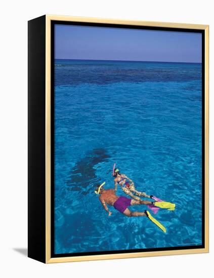Snorkeling in Clear Waters, Bahamas, Caribbean-Greg Johnston-Framed Premier Image Canvas