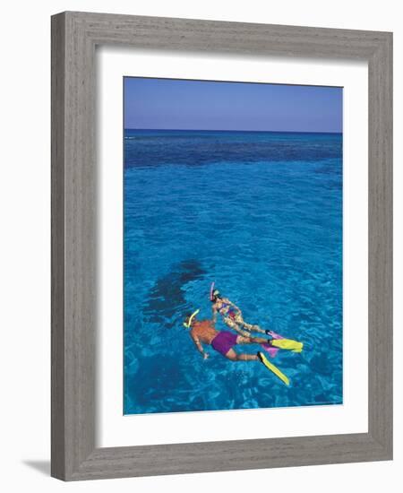 Snorkeling in Clear Waters, Bahamas, Caribbean-Greg Johnston-Framed Photographic Print