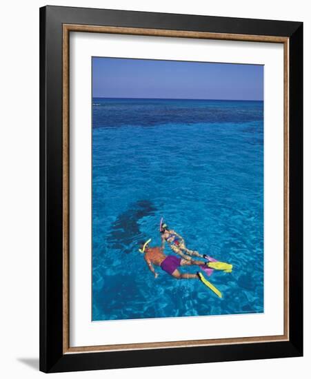 Snorkeling in Clear Waters, Bahamas, Caribbean-Greg Johnston-Framed Photographic Print