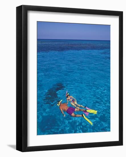 Snorkeling in Clear Waters, Bahamas, Caribbean-Greg Johnston-Framed Photographic Print