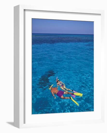 Snorkeling in Clear Waters, Bahamas, Caribbean-Greg Johnston-Framed Photographic Print