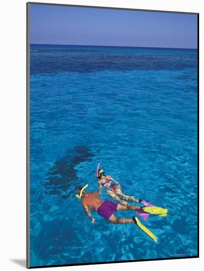 Snorkeling in Clear Waters, Bahamas, Caribbean-Greg Johnston-Mounted Photographic Print