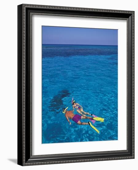 Snorkeling in Clear Waters, Bahamas, Caribbean-Greg Johnston-Framed Photographic Print