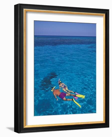 Snorkeling in Clear Waters, Bahamas, Caribbean-Greg Johnston-Framed Photographic Print