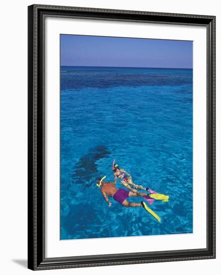 Snorkeling in Clear Waters, Bahamas, Caribbean-Greg Johnston-Framed Photographic Print