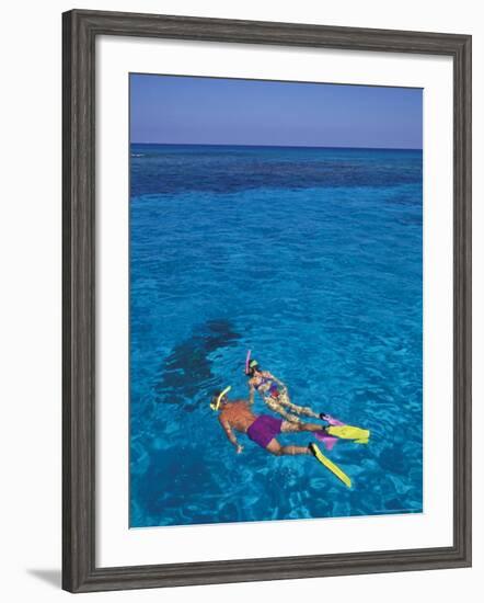 Snorkeling in Clear Waters, Bahamas, Caribbean-Greg Johnston-Framed Photographic Print