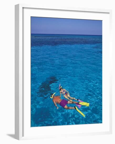 Snorkeling in Clear Waters, Bahamas, Caribbean-Greg Johnston-Framed Photographic Print