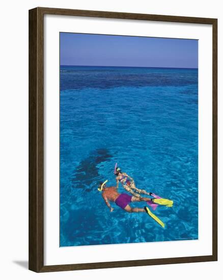 Snorkeling in Clear Waters, Bahamas, Caribbean-Greg Johnston-Framed Photographic Print